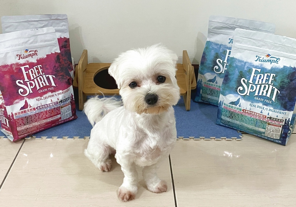 IMG_0655..jpg IMG_0655..jpg