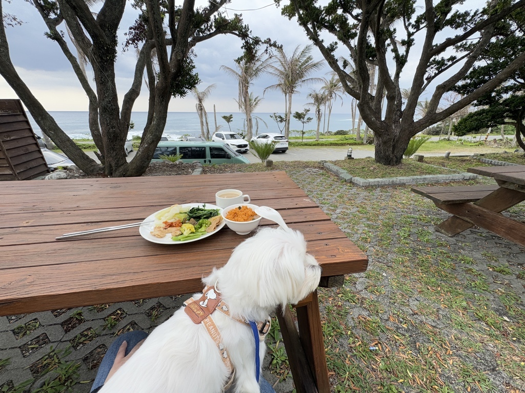 【台東成功－擁月星宿民宿】台東寵物友善療癒系海景民宿推薦，小