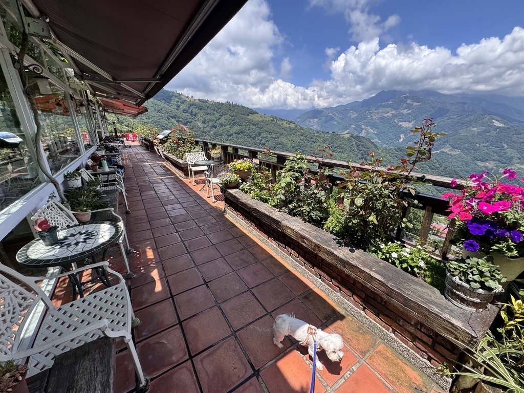 ｜來福居玻璃屋：清境慢時光無菜單料理與午後甜點的療癒時光