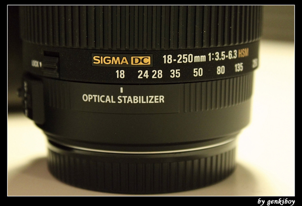 sigma 18-250mm (5).jpg