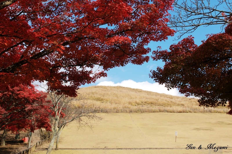 奈良 景點 若草山 春日大社 Gen Megumi 痞客邦 奈良 景點 若草山 春日大社 Gen Megumi 痞客邦