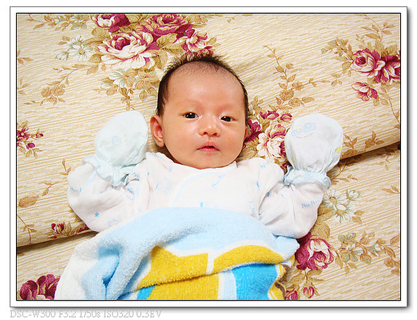 nEO_IMG_DSC09781
