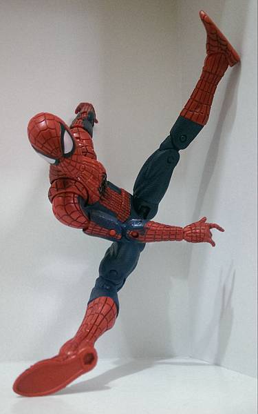 spidy (8)