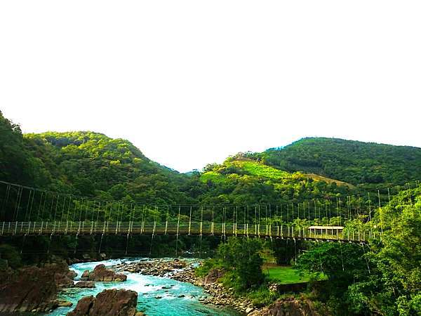 坪林三大吊橋 坪林親水吊橋 虎寮潭吊橋 粗石斛吊橋 人生就該停留在最美好的剎那 痞客邦