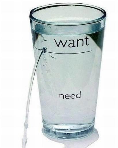 want & need