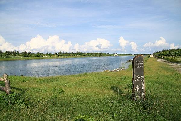 台東森林公園 活水湖