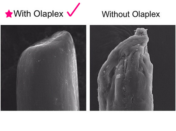 olaplex-03_副本