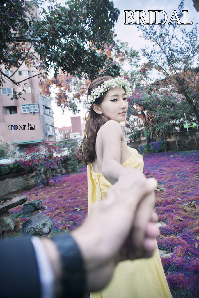 DSC_3379.jpg DSC_3379.jpg