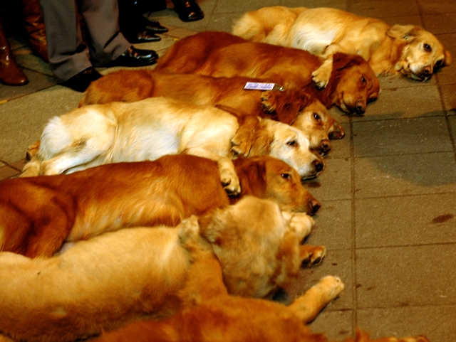 DSC_1550.jpg DSC_1550.jpg