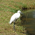 20071117-木柵動物園