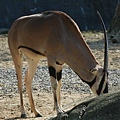 20071117-木柵動物園