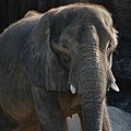 20071117-木柵動物園