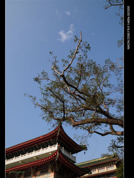 20090215-台南-竹溪寺2