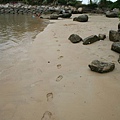 footprints