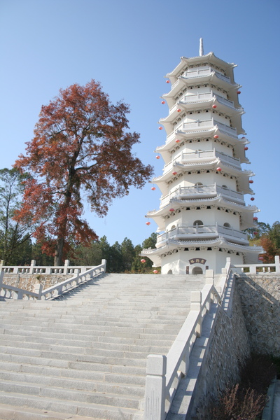 虎豹塔 (中川土樓群 & 虎豹別墅)