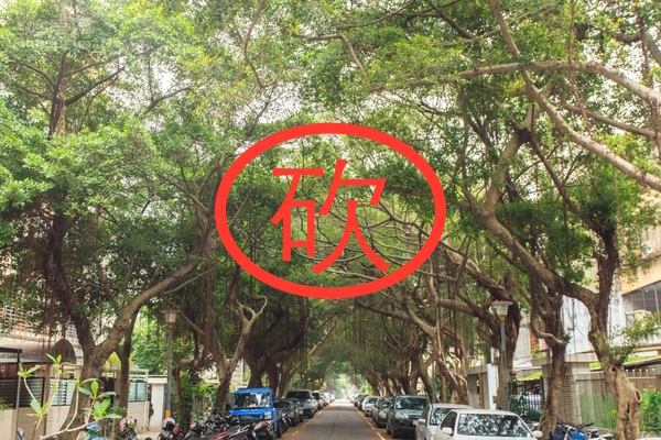 w=600%26;h=600%26;r=16888 (1).jpeg w=600%26;h=600%26;r=16888 (1).jpeg