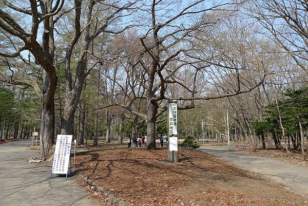 進到北海道神宮公園