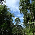 走在烈日當空的Penang Hill