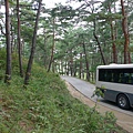 巴士監持要開進山道