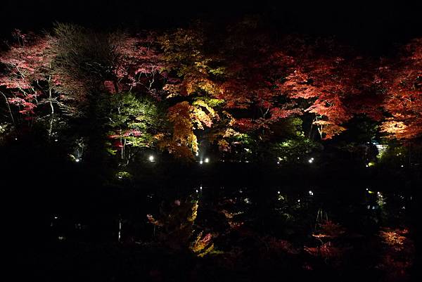 一進門就來個大景