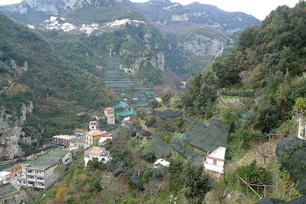 檸檬園風景很不錯