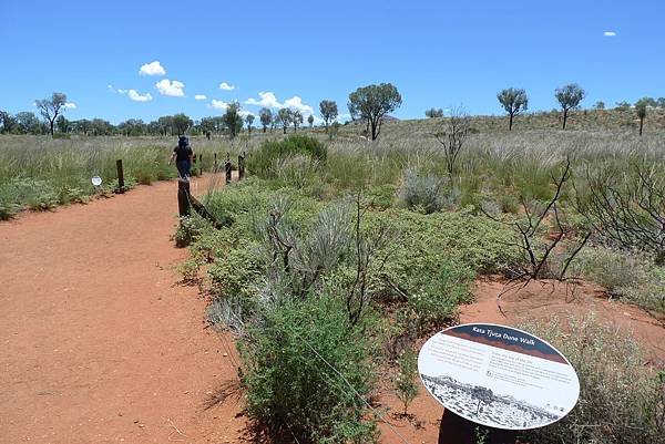 Kata Tjuta Dune View