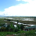 後面就是Inle Lake