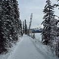 Lakeshore Trail