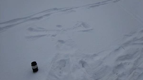 Angel on Lake Louise with tumbler