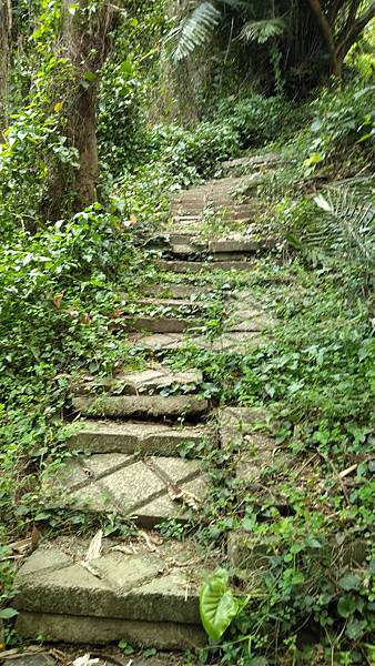 下山往雲山寺的階梯