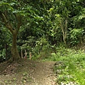 雲山寺端登山口