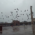 Jama Masjid