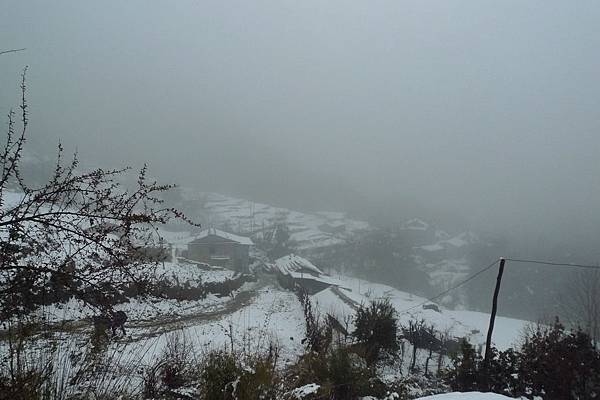 午餐後進入雪線範圍