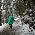 沒下雪但是樹上一直下雨