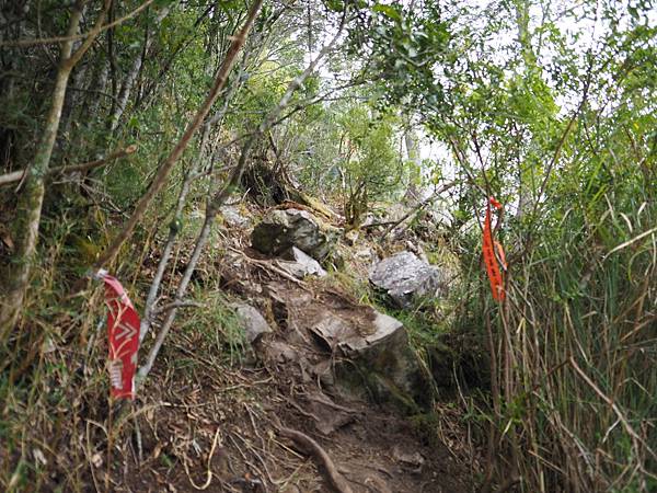 但是林道常常都是這樣