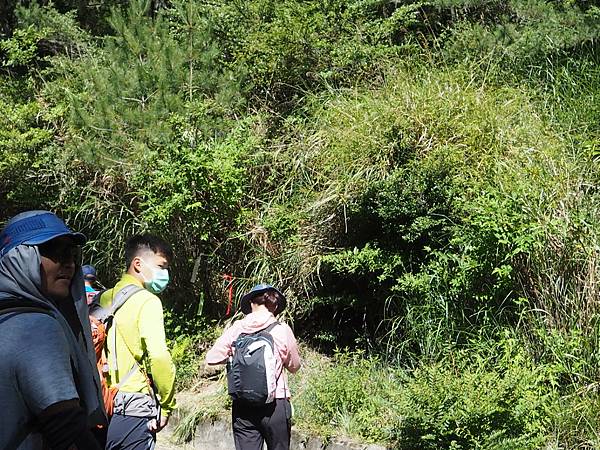 不起眼的溪頭山登山口