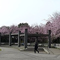 井之頭公園