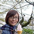櫻花口味霜淇淋