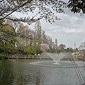 井之頭公園