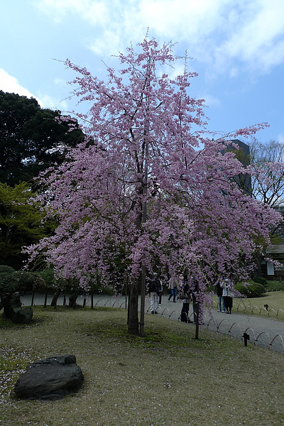 小石川後樂園門口