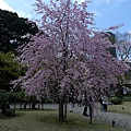 小石川後樂園門口