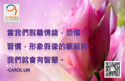 林嘉瑗,卡蘿林EFT情緒,卡萝林EFT情緒,Carol_Lin,EFT,NLP