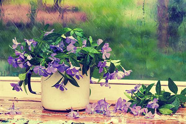 vvv-0216-img_0050-2811