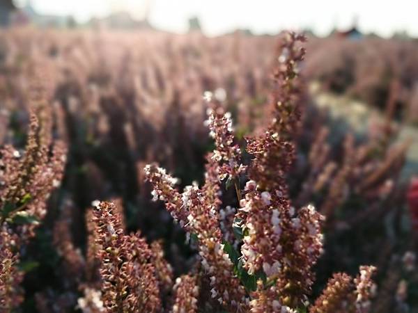 1544322684033.jpg4192528096089008647