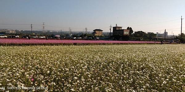 1544322690982.jpg5005880170310549740