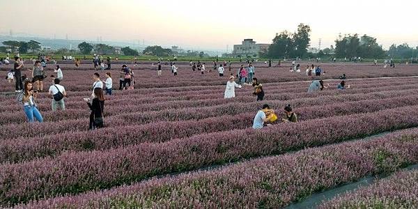 1544322670878.jpg6158795664216212899