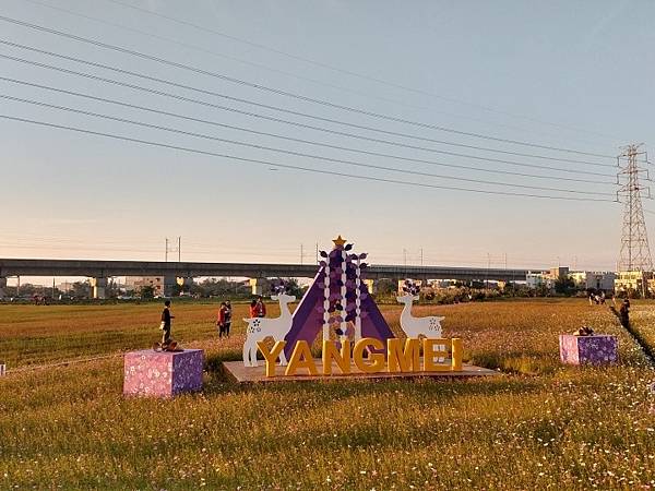 1544322672729.jpg6251629566675400463