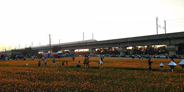 1544322677122.jpg5038785801379064398