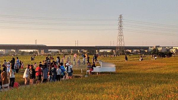 1544322694596.jpg3316462698500839176