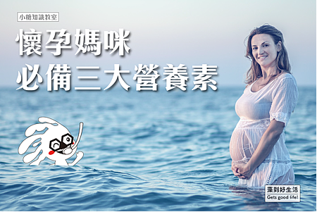 pregnancy-2221950_1920.jpg-01